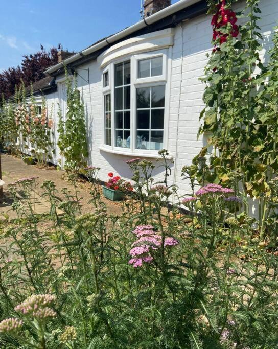 Field Cottage Whittlesey Bagian luar foto