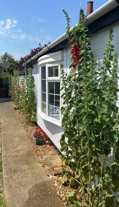 Field Cottage Whittlesey Bagian luar foto